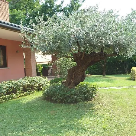 Bed & Breakfast Rosa